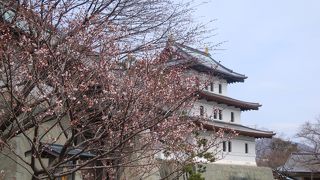 桜の時期に訪れたかった（松前城）