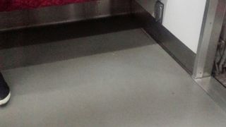 華やかなローズシートの女性専用車