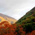 良いお湯でした。居心地のいい温泉宿です。