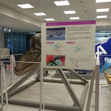 椅子があって、休憩もできます