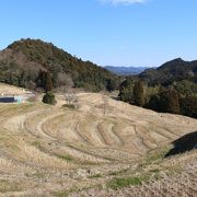 冬場の枯れた田んぼでしたが、雰囲気は味わえました