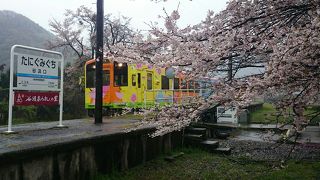 乗るなら桜の時期に
