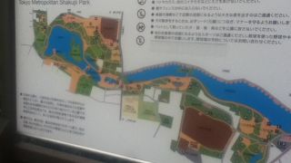 散策やジョギング等が楽しめる広い公園