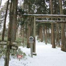 雪の中を歩きました。