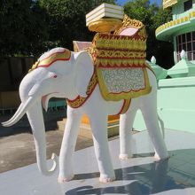 白い象があります