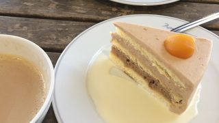 ワンちゃんと一緒に