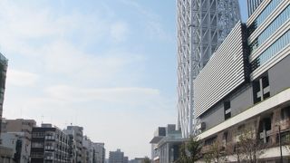 ちょっとした緑地です