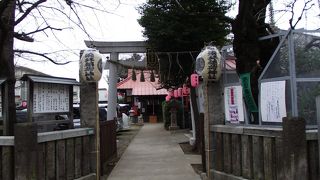 西福寺の左 (西) 隣りにある親しみが持てるお稲荷さんです