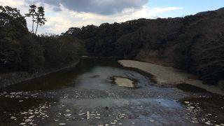 宇治橋から見る五十鈴川とても綺麗でした♪