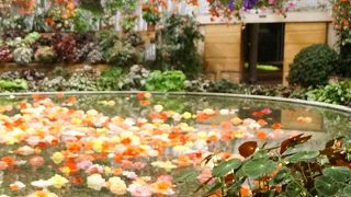 なばなの里の有料施設