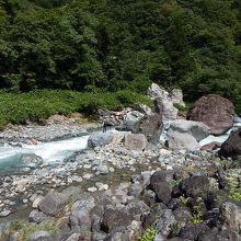 220x220_14438793.jpg?