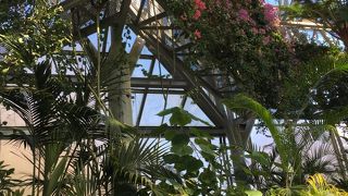 神戸が一望できる山の上のハーブ園