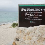 泊港北岸から20分位