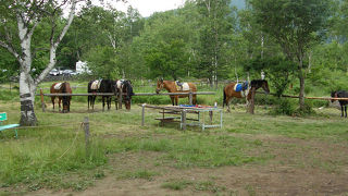 観光ツアーで立ち寄りました。