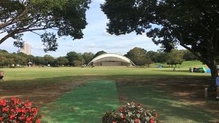 緑に囲まれた広い公園