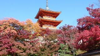 京都東山のシンボルのひとつです