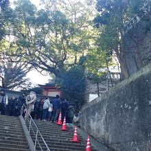 ここ最近は止めて進めて方式です。階段が急で怖いので