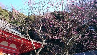 学業成就　鎌倉の荏柄天神社 