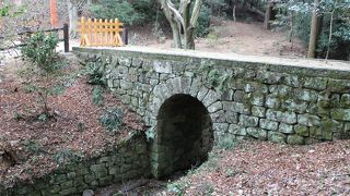 アーチがしっかり組まれてます