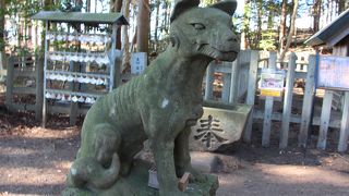 幻の有袋類・タスマニア狼との関連は？／宝登山神社　奥宮