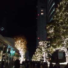 20141127@新宿サザンテラス