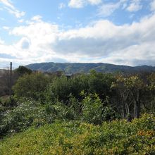公園内の小高い丘からは山崎が臨めた。