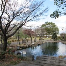 公園と池