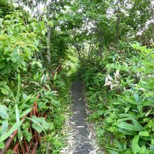 写真６：階段を登って右へ曲がり砲台跡へ通じる小道