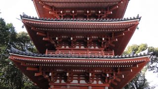 撮りたくなる綺麗な塔