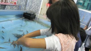 ドクターフィッシュ