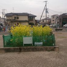 記念館道すがら