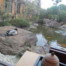 席から見える景色