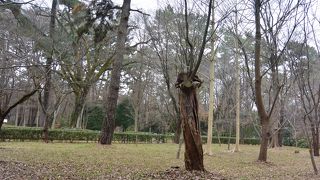 冬はあんまり・・