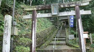 武蔵のハート（魂）石がありました