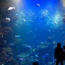 水槽の前で座れます