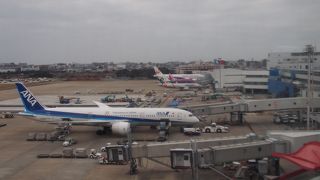 多種類の航空会社の飛行機が見える