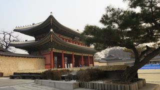 見応えがあります。