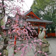 歌舞伎に縁のある神社