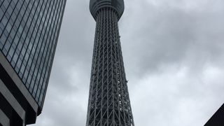 早朝から楽しめました