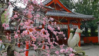 歌舞伎に縁のある神社