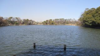 洗足池を囲むように整備された公園