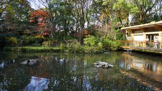 宮きしめんの裏手