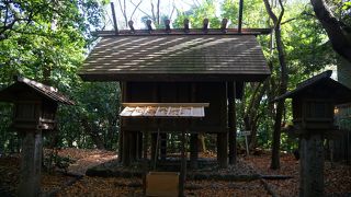 神楽殿の脇から入るこころの小径を入ってすぐ