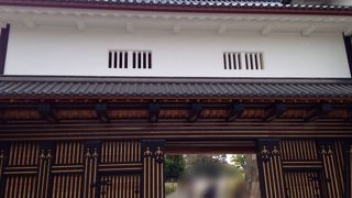 黒の縦縞がイイ