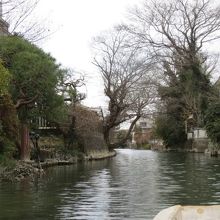 見事な風景でした