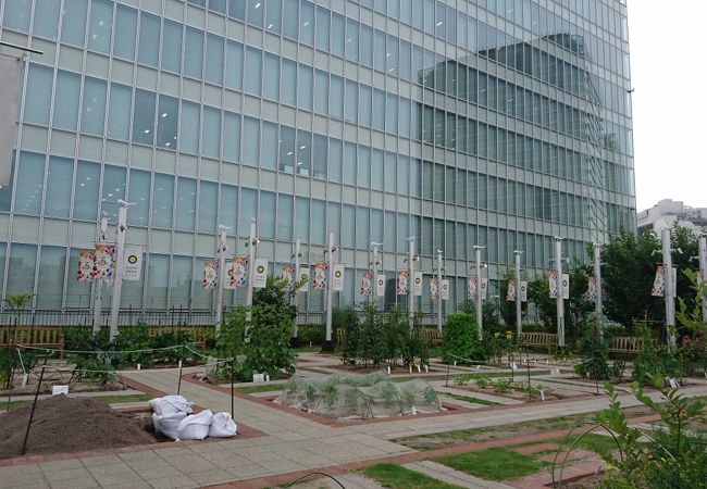 天空の農園 クチコミ アクセス 営業時間 キタ 大阪駅 梅田 フォートラベル 天空の農園 クチコミ アクセス 営業時間 キタ 大阪駅 梅田 フォートラベル
