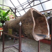 境内にありました