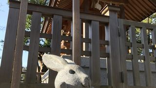 可愛いまわしのうさちゃん