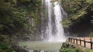 昆虫館、箕面の滝