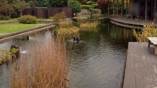 本丸の下ですが地味でした